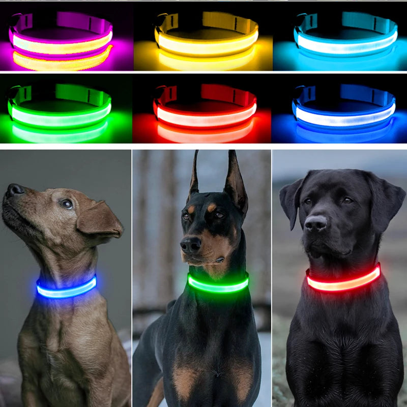 LED Dog Collar