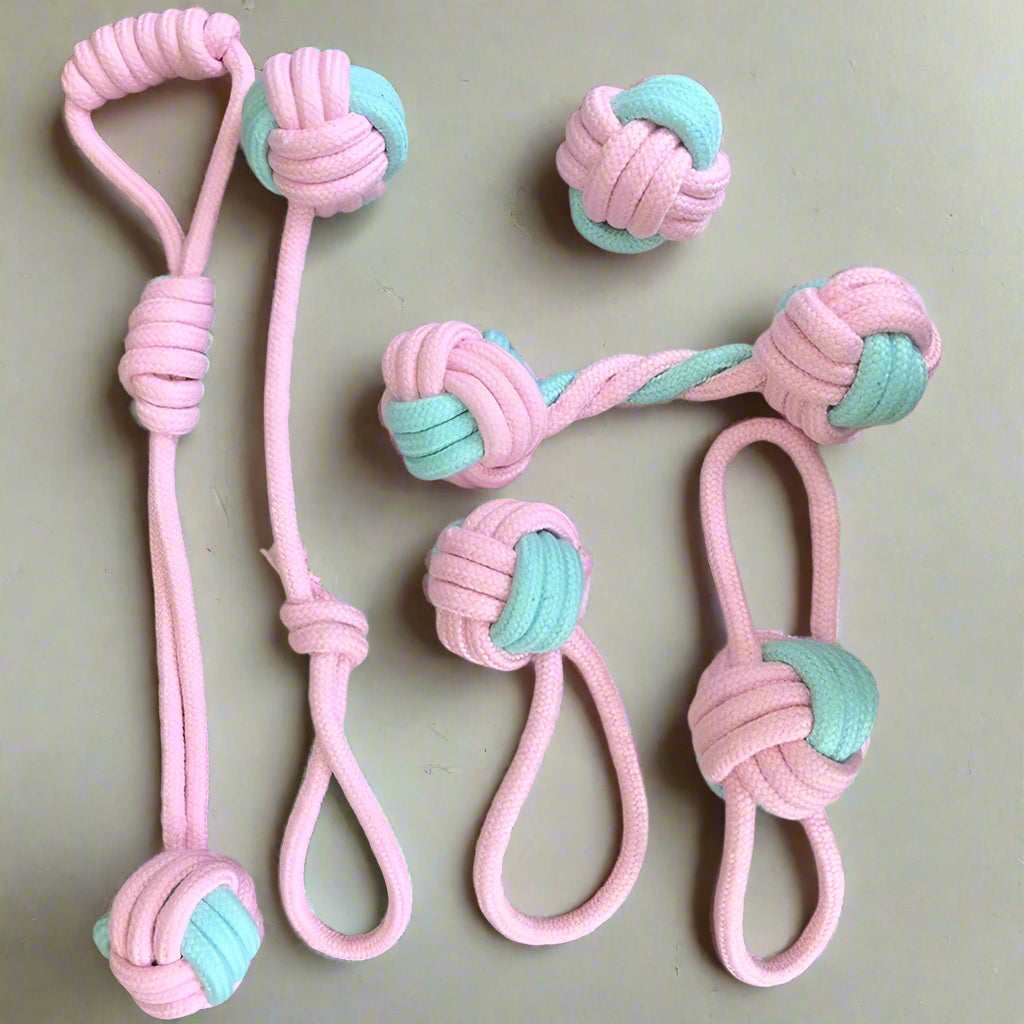 Interactive Pet Rope Toy Kit - Pink