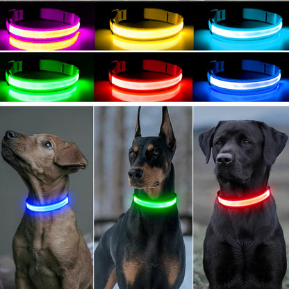 LED Dog Collar