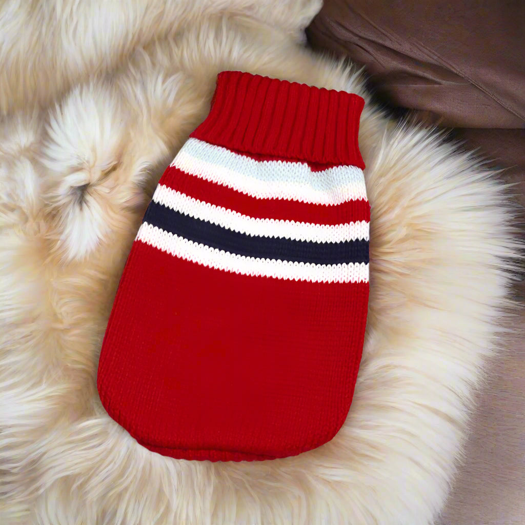 Warm Knit Dog Sweater for Dachshunds – Winter Jumper for Small Dogs