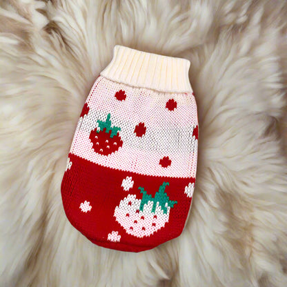 Warm Knit Dog Sweater for Dachshunds – Winter Jumper for Small Dogs
